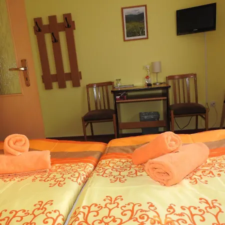 Restaurant A Penzion V Grunte بيت ضيافة *